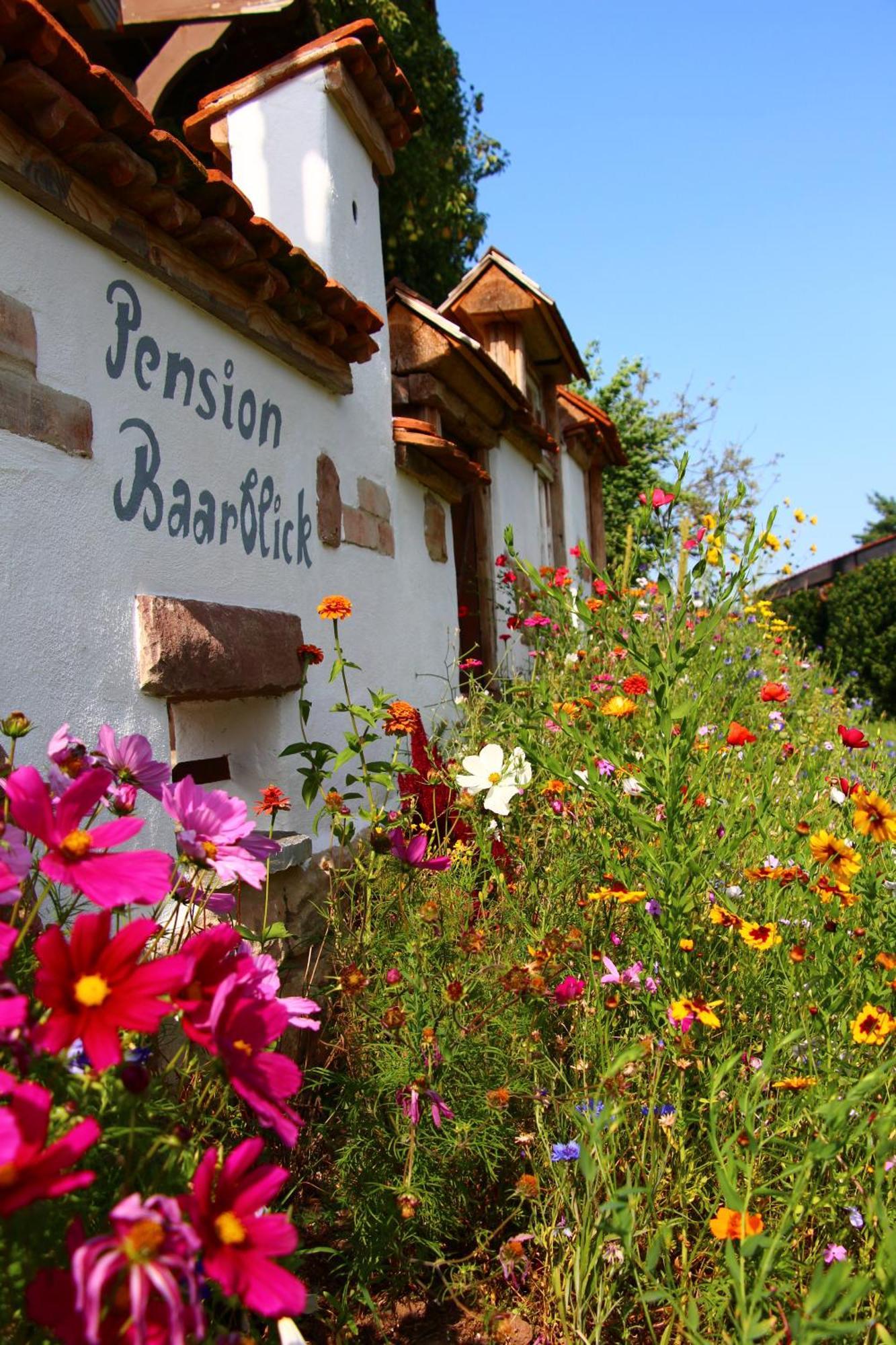 Pension Baarblick Hotel Donaueschingen Exterior foto